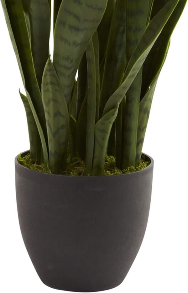 Best Almost natural, green 4855 35 inches. Black Planter and San Sevilla Area - Image 6