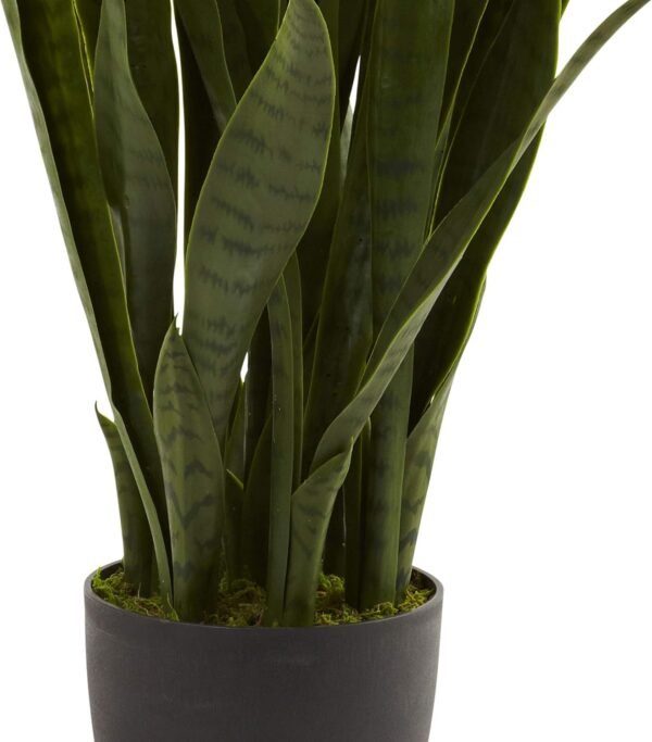 Best Almost natural, green 4855 35 inches. Black Planter and San Sevilla Area - Image 8