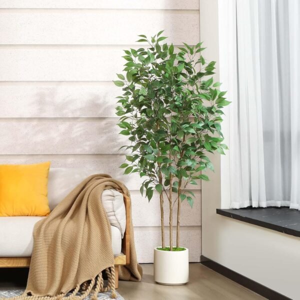 Best Artificial Ficus Tree 5ft Tall Fake Ficus Tree Indoor Indoor Fake Ficus Plant Plant Plant Plants Green Green Green Fake Moss Ceramic Aposic 1 Set 1 - Image 3