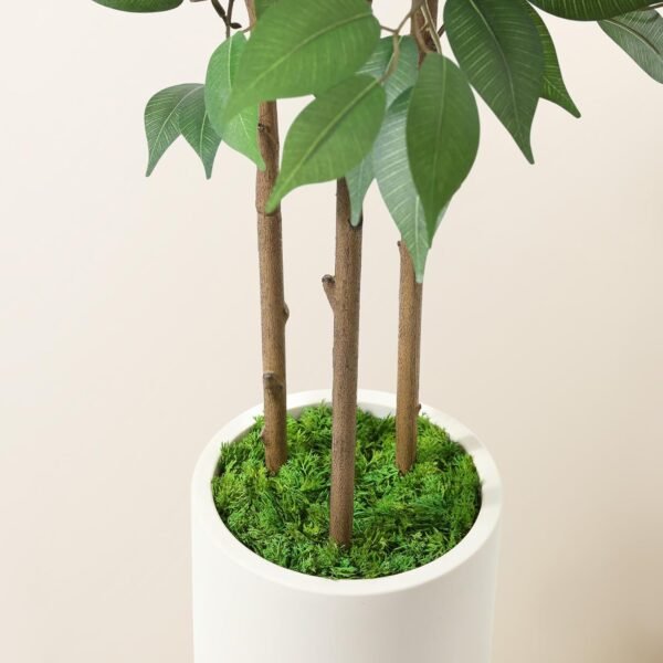 Best Artificial Ficus Tree 5ft Tall Fake Ficus Tree Indoor Indoor Fake Ficus Plant Plant Plant Plants Green Green Green Fake Moss Ceramic Aposic 1 Set 1 - Image 6