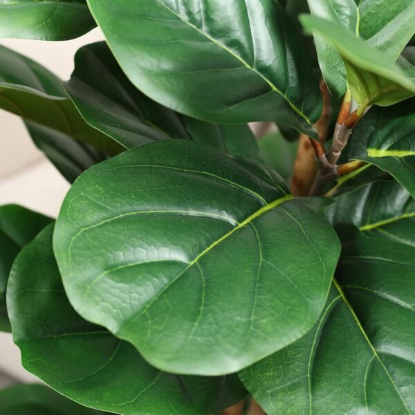 Top Artificial fiddle leaf fig tree with white approval, natural tree trunk and 5 feet tall fake tree for home decoration, fake ficus tree fake moss in indoor office living room - Image 5