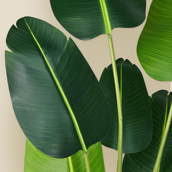 Cheap Paradise Plant Artificial Bird 5.2 Foot Fake Tropical Palm Tree Indoor Outdoor Office Modern Decoration Housework Gift for Fake Banana Leaf Tree with 10 Tranches - Image 4