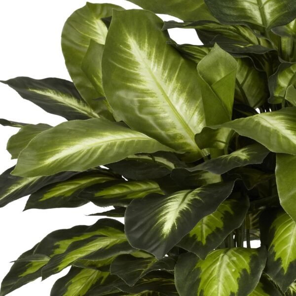 Cheap Almost natural 6639 24in. Golden Dieffenbachia Silk Plant, Green - Image 5
