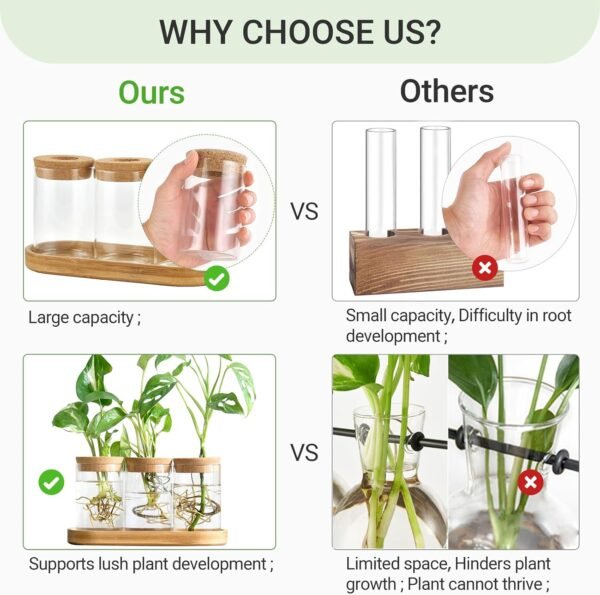 Buy high-quality Dahey Plant Propagation Terrarium Desktop Glass Appits - Image 4