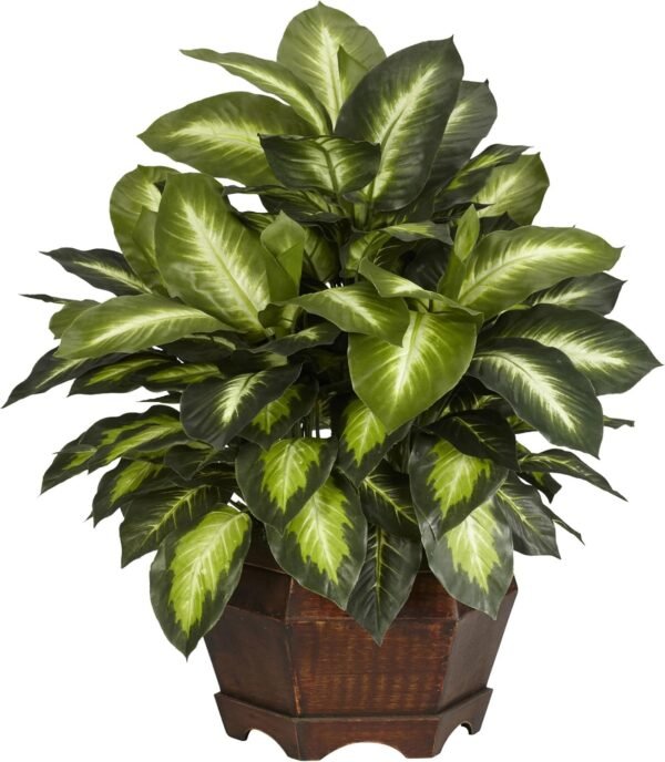 Cheap Almost natural 6639 24in. Golden Dieffenbachia Silk Plant, Green - Image 2