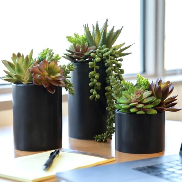 Order the best Seeko Artificial Plants (3 Pack) - Indoor Fake Succulents with Black Pot - Image 2