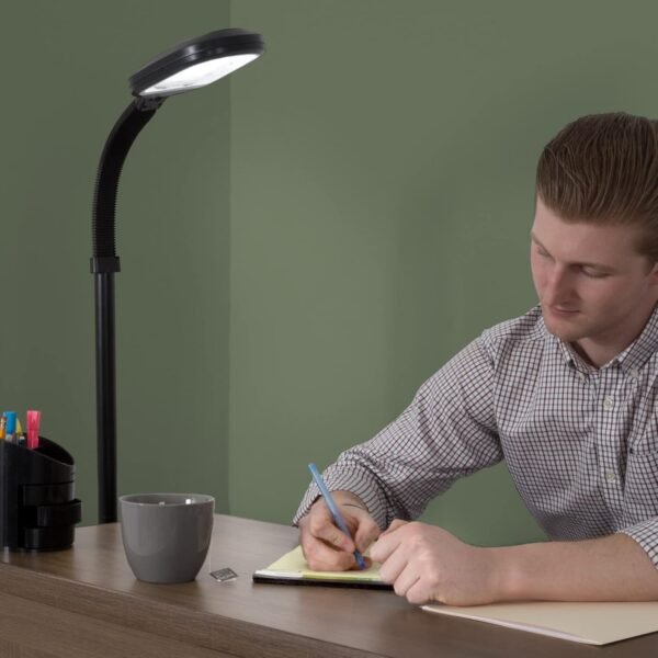 Grab high-quality Floor lamp - Full-spectral natural sunlight lamp with blessed neck - Reading, crafts, studying, aesthetic light (black) by a gorgeous home - Image 6