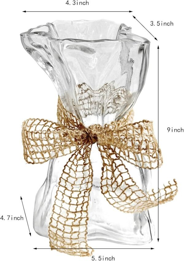 Grab the best Transparent irregular shape modern minimalist glass vase - Fashionable Marcheze home decoration for flowers, centerpieces, kitchen, office, wedding, holiday - Image 3